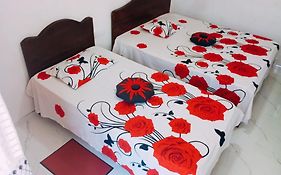 Pleasure Mount Homestay
